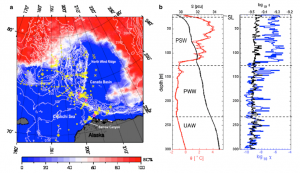 図１：（a）海洋地球研究船「みらい」による北極海での乱流観測の観測点（MR09-03; MR10-05）。赤い領域は2009年9月の海氷被覆域を示す。（b）北極海の混合領域における代表的な水温・塩分と乱流変数の鉛直プロファイル（左図：水温、塩分、右図：χ, ε）