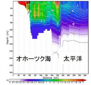 Fig.2 高解像度物質循環モデルの初期的な結果。オホーツク海における中層の鉄分濃度極大が再現されている。